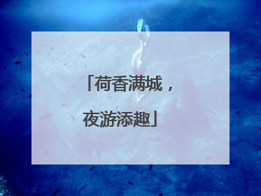 荷香满城，夜游添趣